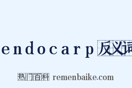 endocarp反义词是什么意思的图片